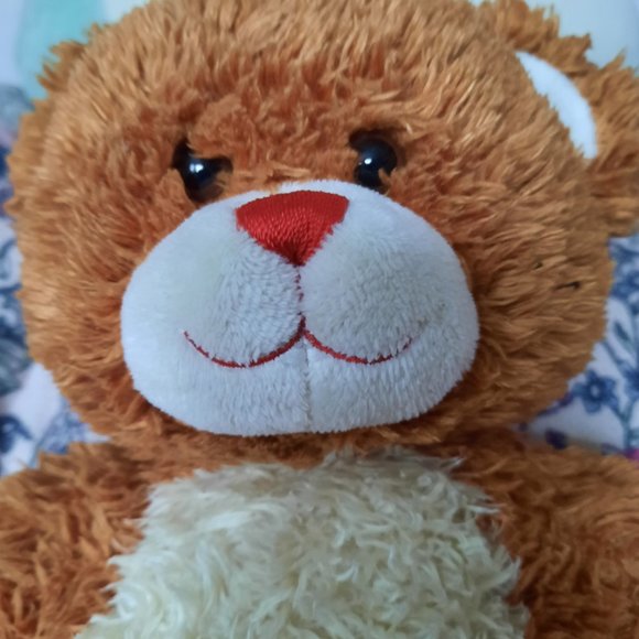 High School Musical Build-a-Bear - Picture 2 of 3